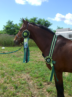 Wendelin, the Grand Prix Green Lantern!